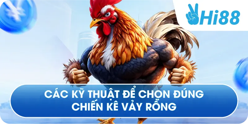 Các kỹ thuật để chọn đúng chiến kê vảy rồng