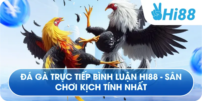 Đá Gà Trực Tiếp Bình Luận Hi88 - Sân Chơi Kịch Tính Nhất